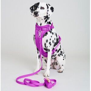 Wild One Dog Harness in Orchid Purple - Large